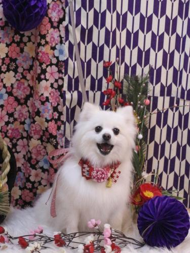 20250128ゆずちゃん